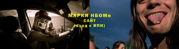 стаф Ладушкин