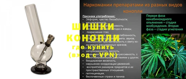 ПСИЛОЦИБИНОВЫЕ ГРИБЫ Лагань