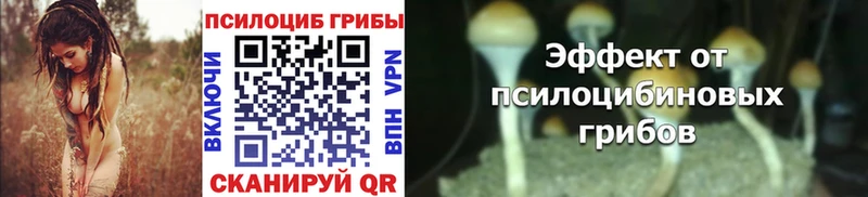 как найти   ОМГ ОМГ зеркало  Галлюциногенные грибы Magic Shrooms  Шатура 