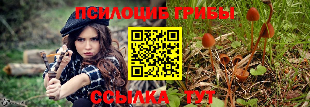 Псилоцибиновые грибы MAGIC MUSHROOMS  Вход с VPN  Галлюциногенные грибы Magic Shrooms  Шатура 